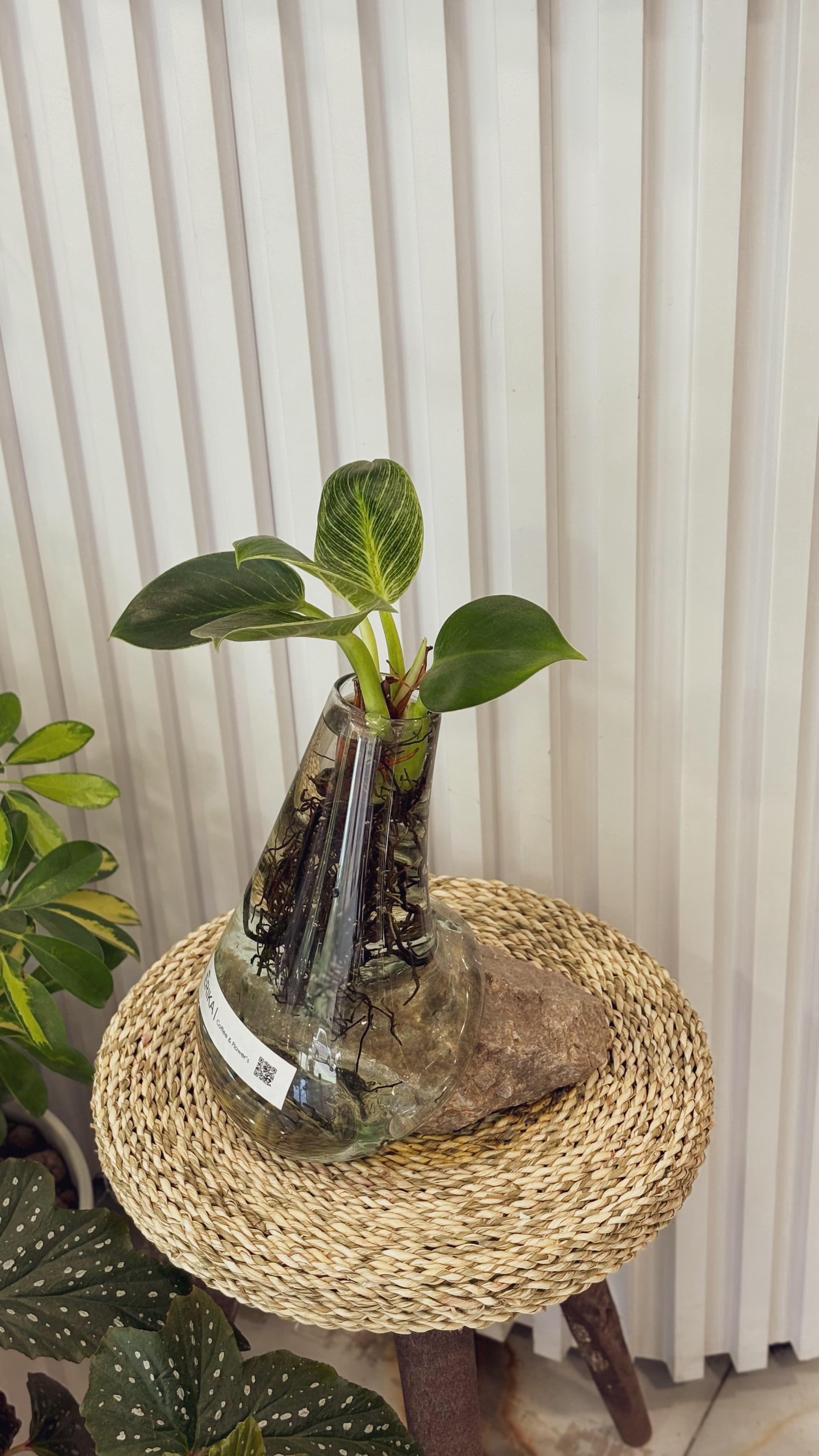 شیشه دفرمه سنگی